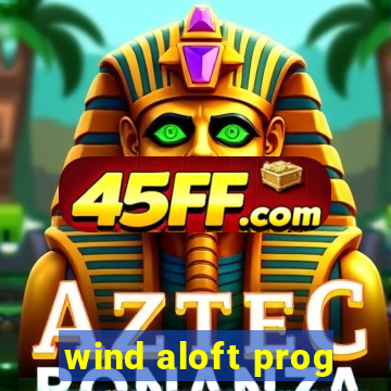 wind aloft prog